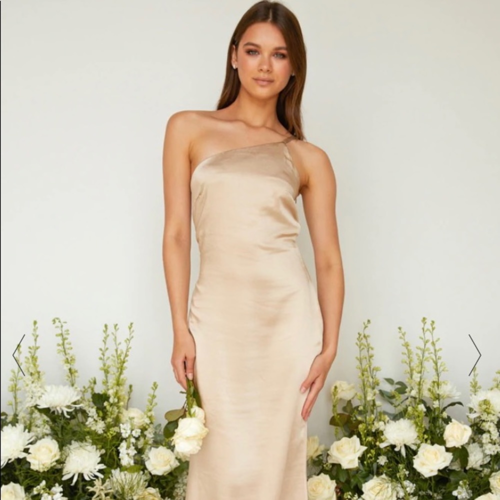 Pretty Lavish Champagne Bridesmaid Amelia Maxi Matte Bronze NWT